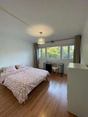 Chambre Double - 5min RER A & proche universités - colocation hommes